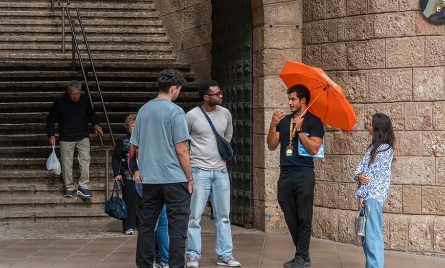 Image 10: Montserrat Experiencia de ida y vuelta de medio día