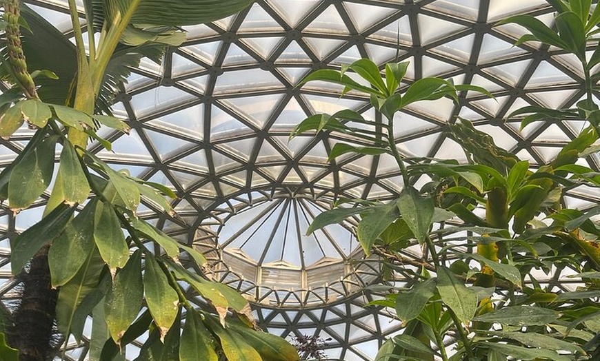 Image 18: Brisbane Insights Tour