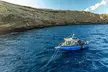 3-Tank Dive Featuring the Molokini Crater - Second Medium