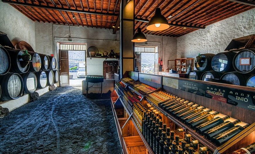 Image 3: Vino de Timanfaya y excursión panorámica privada en tierra