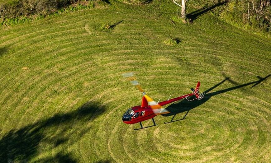Image 2: Hunter Valley Helicopter Tour: Bubbly Breakfast