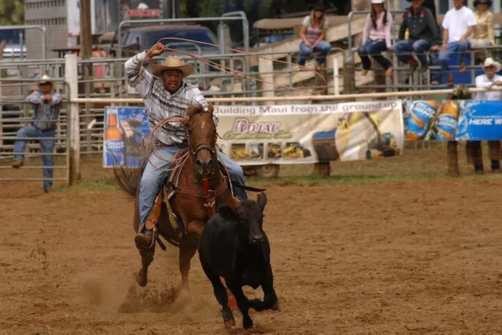 Best Haleakala Downhill Self-Guided Bike Tour with Maui Sunriders