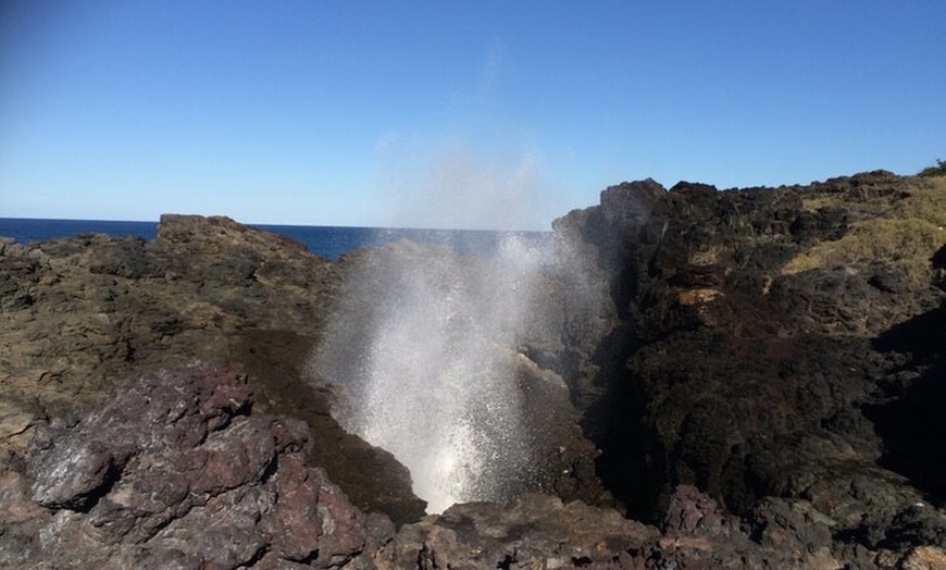 Image 4: Grand Pacific Drive and Southern Highlands Tour