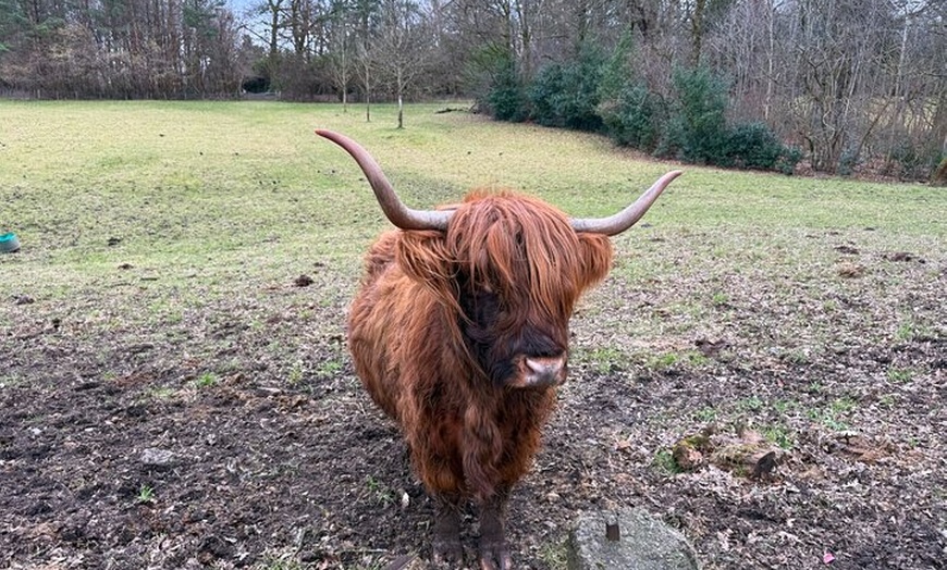 Image 6: Whisky Tour Oban Glencoe Lochs Castle Private Tour from Edinburgh