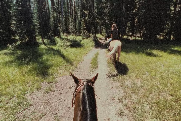 Guided Horseback Trail Rides - Second Medium