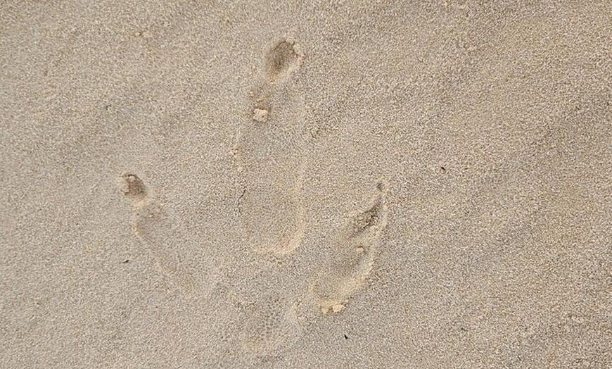 Image 10: Pinnacles Desert Sunset Dinner and Stargazing Tour