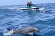 Guided Two hours Jetski Coastal Tour - Second Medium