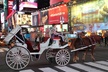 Horse Carriage Tour in New York City's Central Park Small Loop - Second Medium