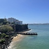 Image 4: Historic Old San Juan Walking Tour with El Morro Entry