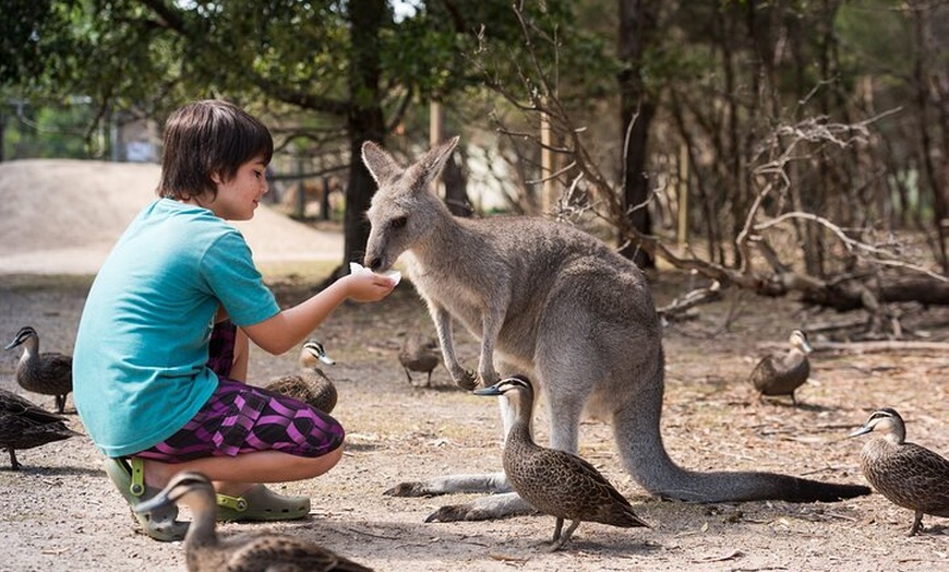 Image 7: Explore Mornington Wildlife Wine and Hot Springs