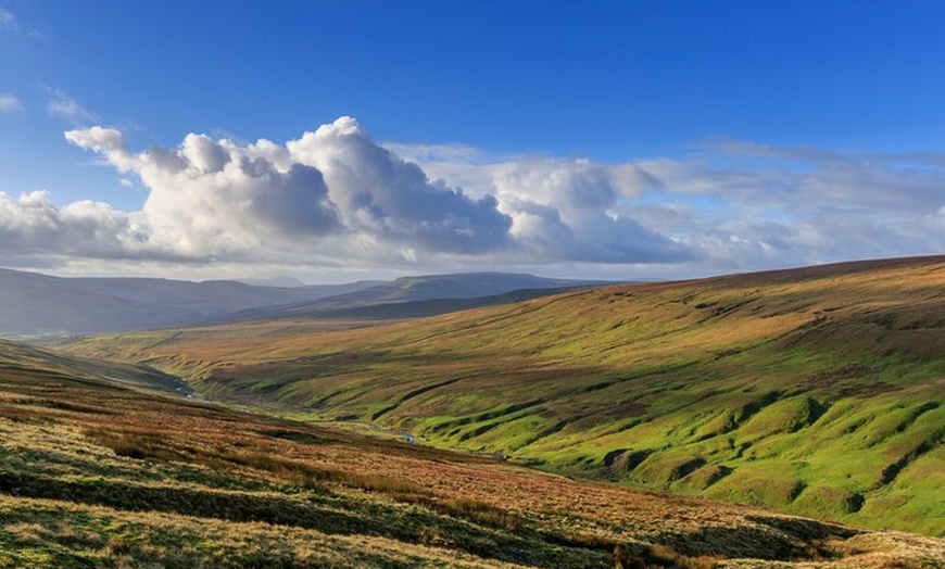 Image 3: All Creatures Great and Small Tour from York