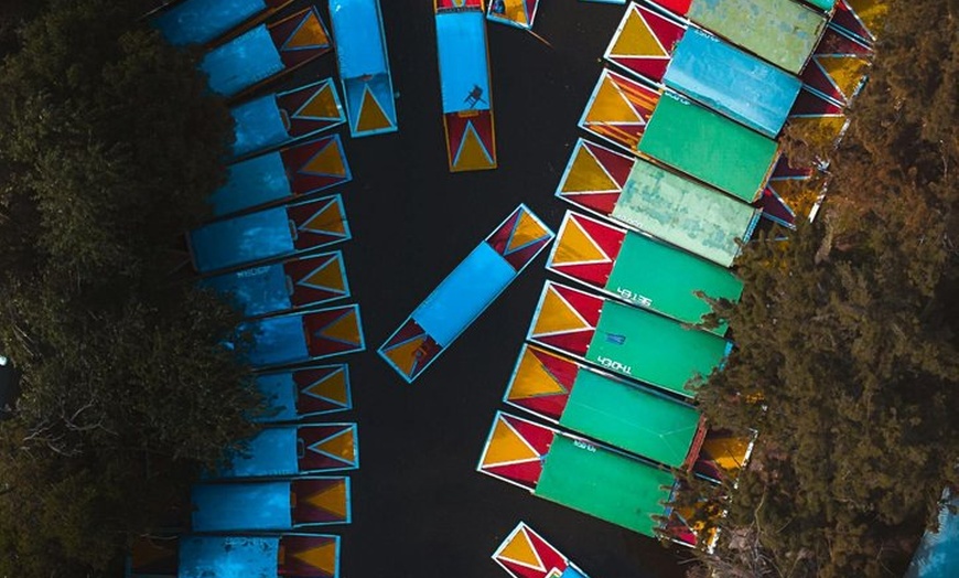 Image 24: Xochimilco floating gardens, Coyoacan and UNAM murals