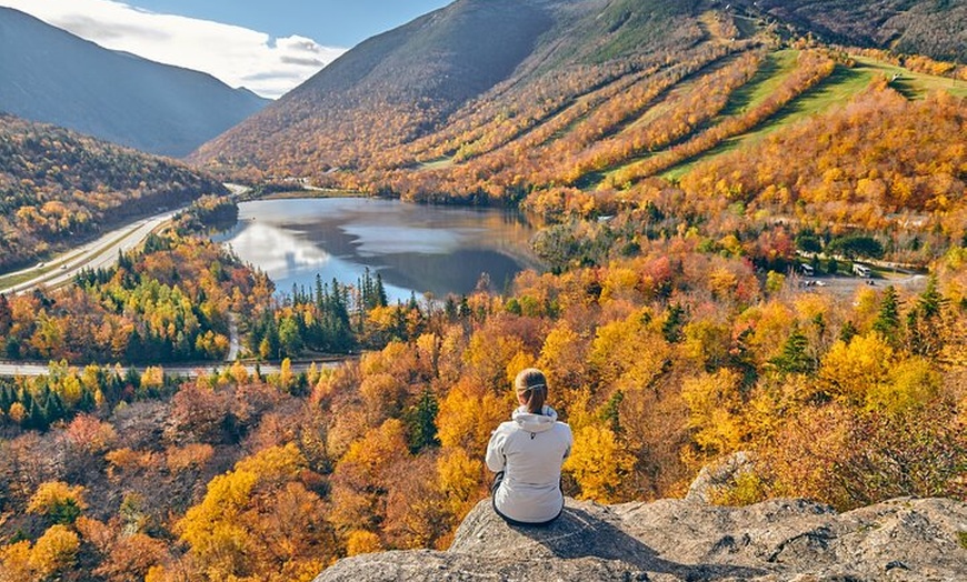 Image 6: Frankfurt nach Würzburg Schlösser, Weinberge und barocke Pracht