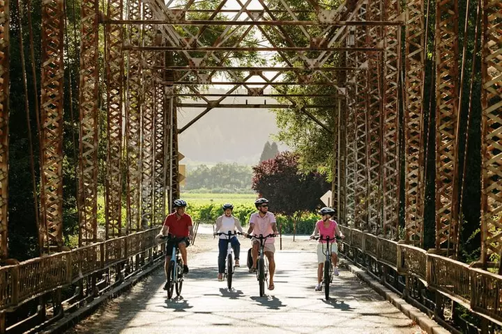 Half Day Guided Electric Bike Wine Tasting Tour with Lunch - Primary Image