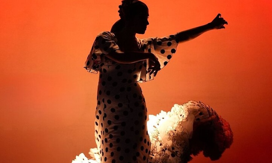 Image 2: Entrada al espectáculo flamenco en el Teatro Ayuntamiento de Barcelona