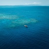 Image 3: Cairns Great Barrier Reef Snorkel and Flight Adventure