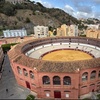 Image 2: Visita Guiada Privada a la Plaza de Toros de la Malagueta