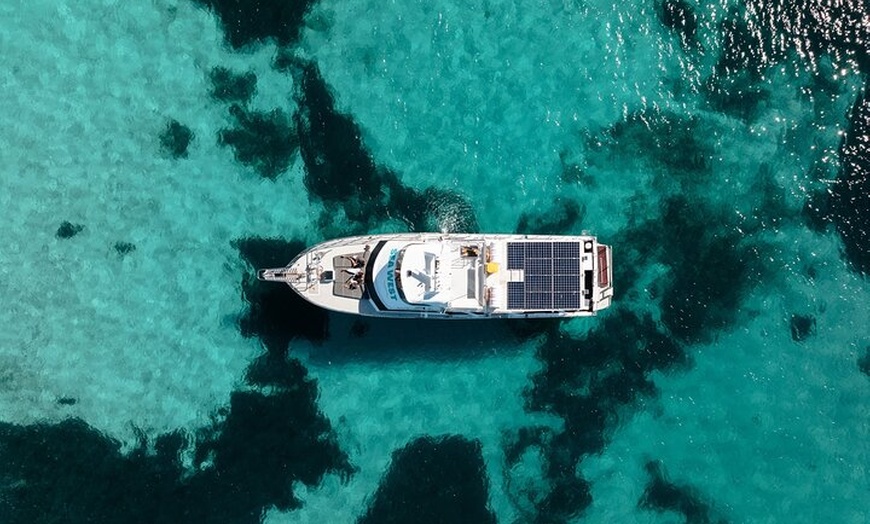 Image 4: Luxe Island Seafood Cruise - Rottnest Island