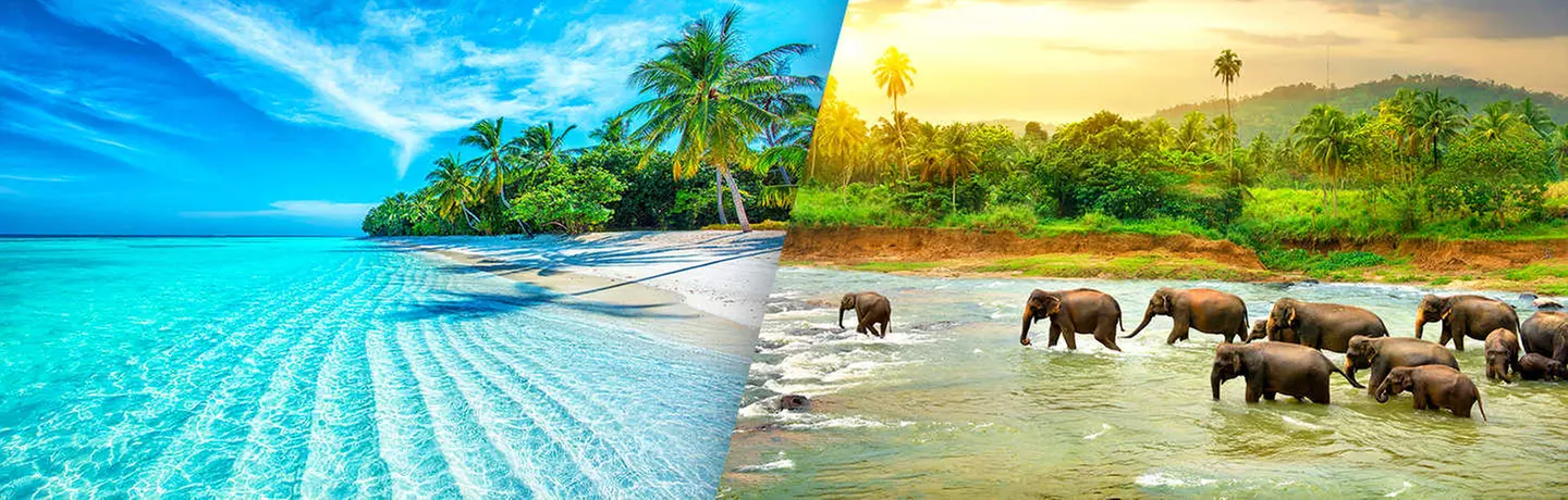 ✈ SRI LANKA & MALEDIVEN | Von Colombo zum Nord-Malé-Atoll - Entdecken Sie Sri Lanka mit einer Verlängerung auf die Malediven 4*, 10 Nächte - Rundreise - Primary Image