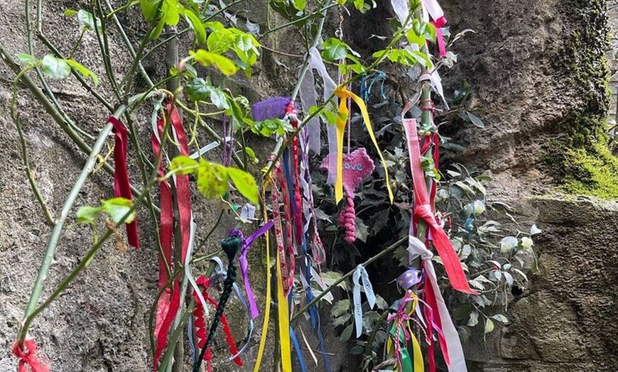 Image 7: Avalon Adventure