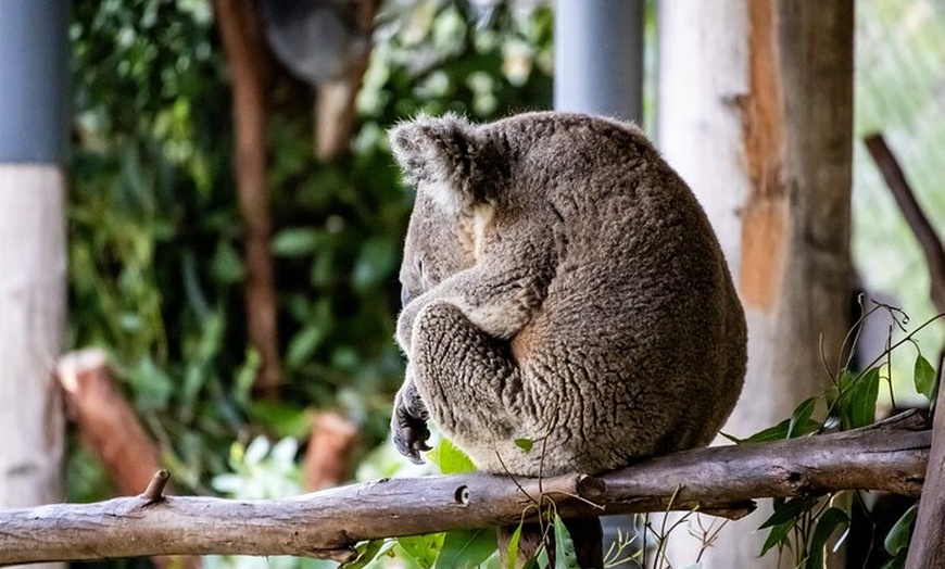 Image 13: Blue Mountains Day Tour from Sydney