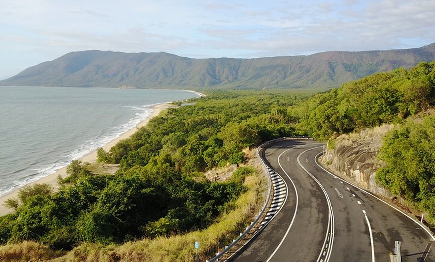 Image 4: Cape Tribulation, Mossman Gorge, and Daintree Rainforest Day Trip