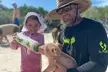 Exuma Island and Cays Tour - Second Medium