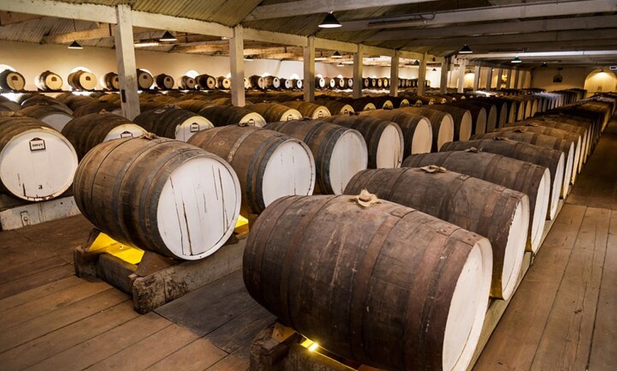 Image 5: Adelaide Cruise Ship Discovery Tour