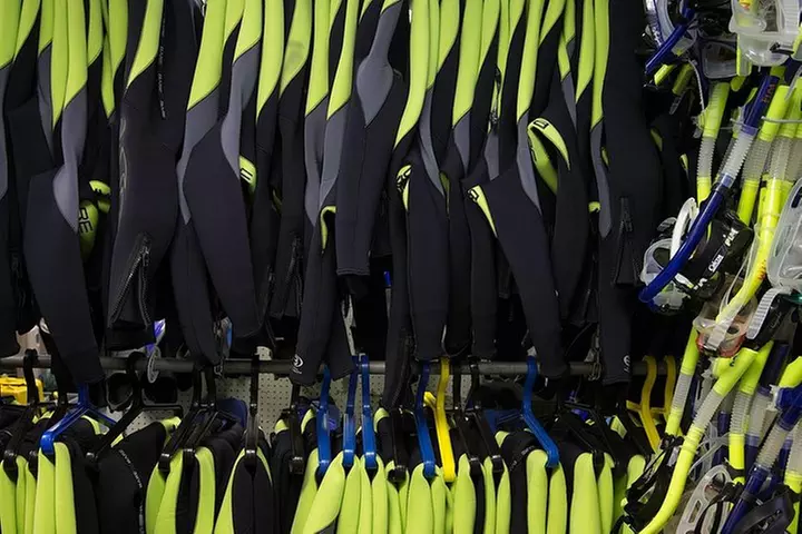 Small group Manatee Tour with In-Water Divemaster/Photographer