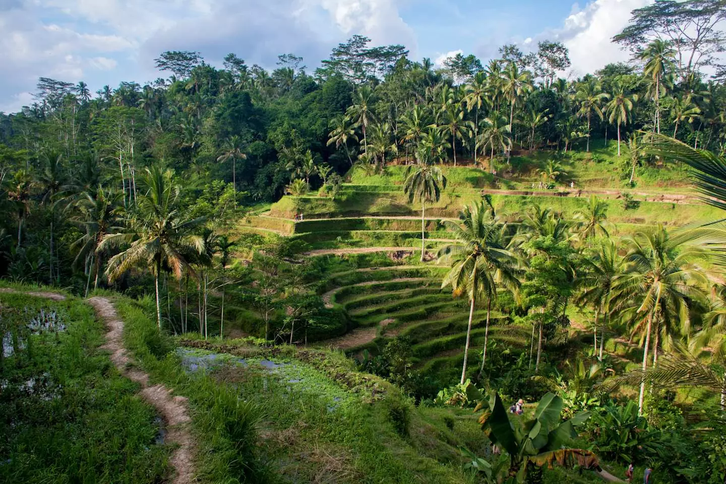 ✈ INDONESIA | Bali & Lombok - Alla scoperta delle isole indonesiane...