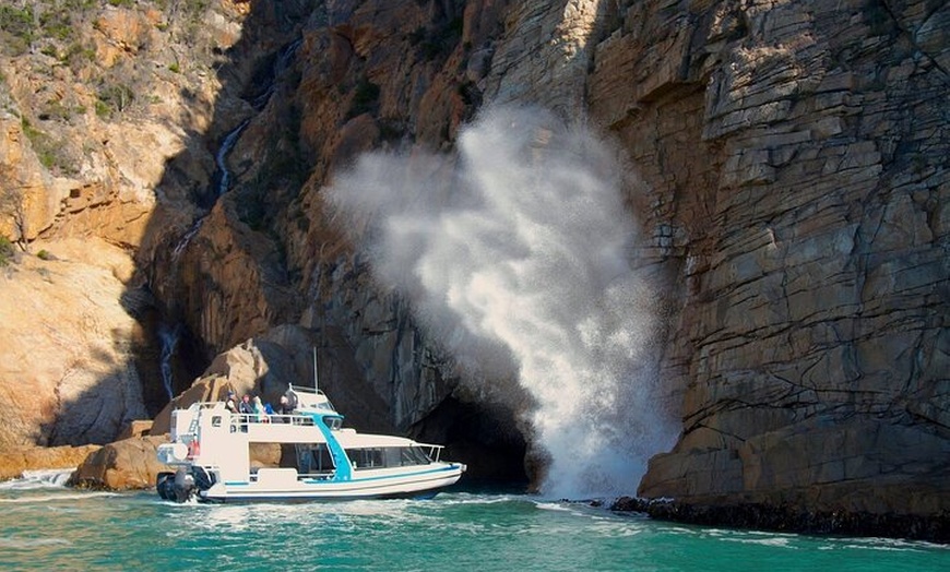 Image 11: Maria Island 3 hours and 30 mins Scenic Cruise