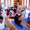Image 7: Llama Yoga