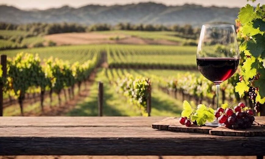 Image 6: Tour privado de cata de vinos y almuerzo gourmet en Mallorca