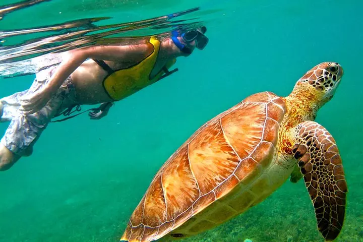 Tulum and Swimming with turtles from Cancun - Second Medium