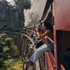 Image 2: Puffing Billy Steam Train Rainforest Tour and Yarra Valley Treats