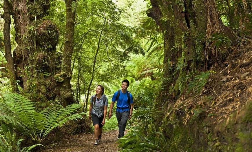 Image 5: Small-Group Great Ocean Road Classic Day Tour from Melbourne