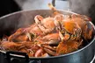 $50 For $100 Worth of Hard-Shell Crabs and Crab Cakes - Second Medium