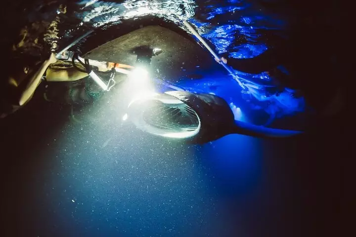 Kona Manta Ray Snorkel Tour Guarantee Sighting in Keauhou Harbor