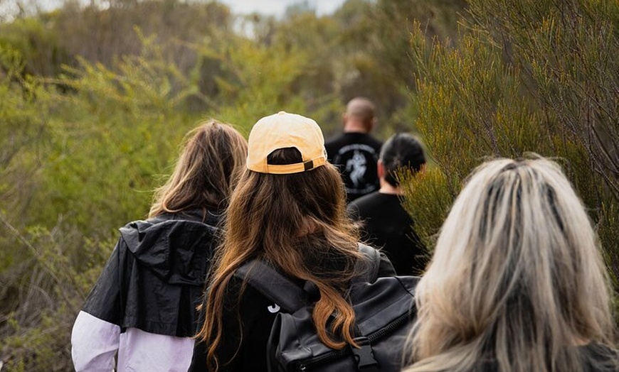 Image 10: Sydney Aboriginal Walking Tour with Welcome Smoking Ceremony