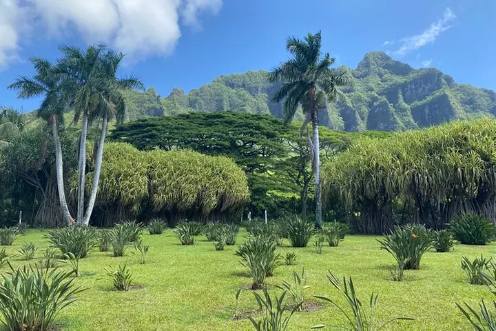 Diamond Head Hiking and Oahu Island Experience feat. North Shore