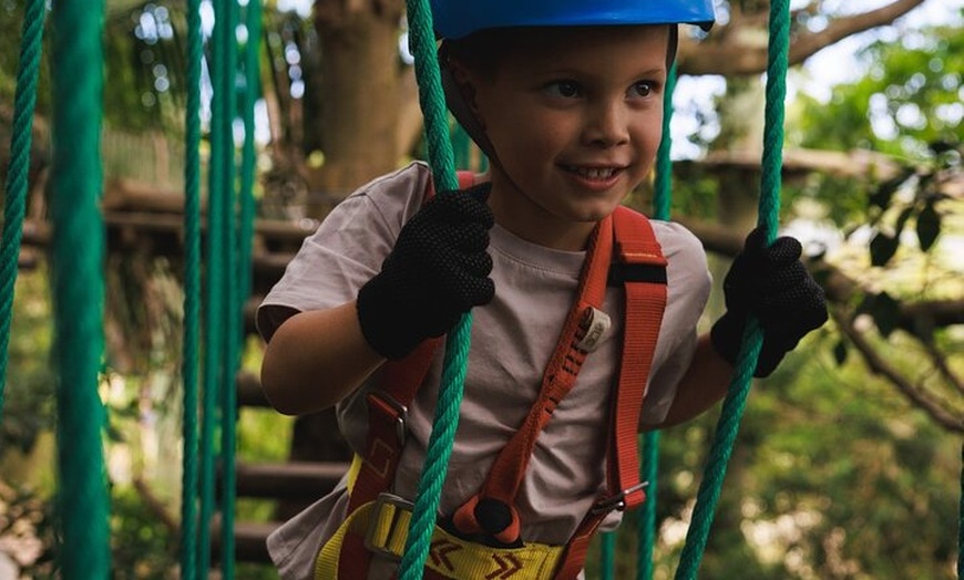 Image 3: Canberra Junior Tree Ropes Course