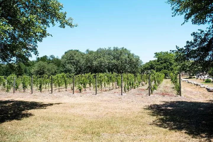 From Austin: Hill Country BBQ & Wine Shuttle