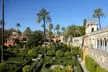 Entrada al Real Alcázar de Sevilla con Audioguía - Second Medium