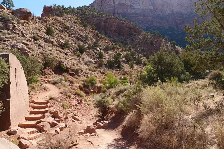 Zion National Park Small Group Tour from Las Vegas
