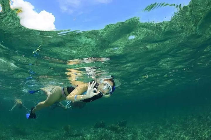 Snorkel in the second largest reef in the world Colorful tour in Pu...