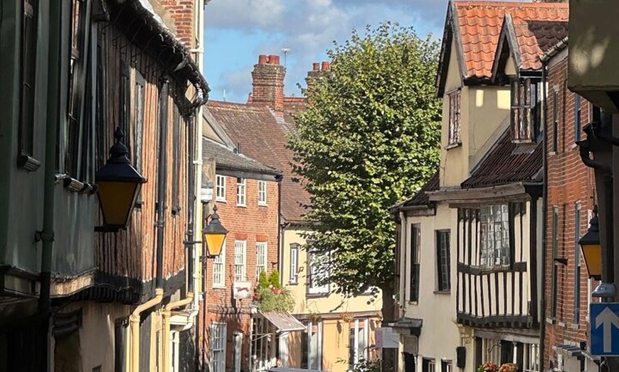 Image 5: Nasty Norwich - The History Tour That's Fun!!