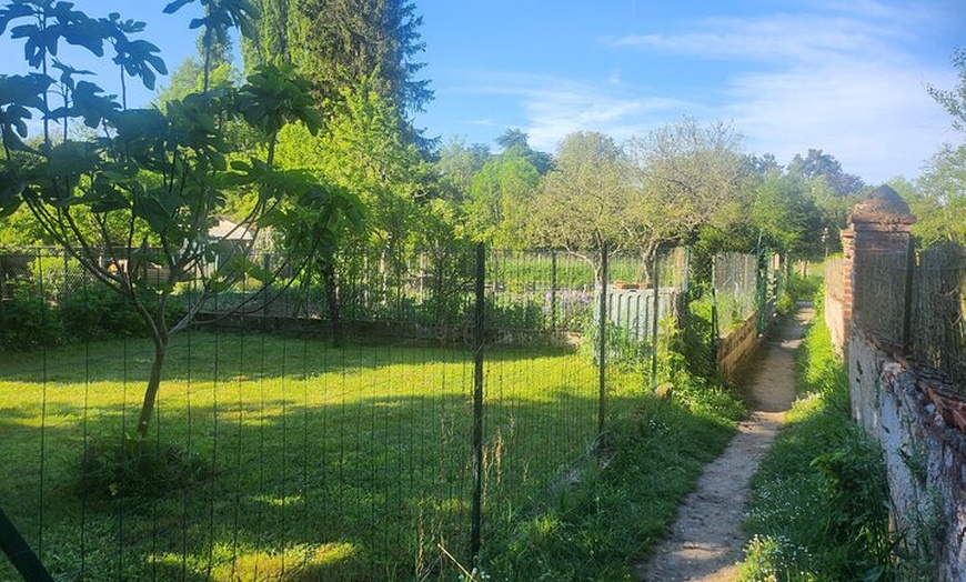 Image 11: Découvrez Amboise dans les pas de Léonard de Vinci