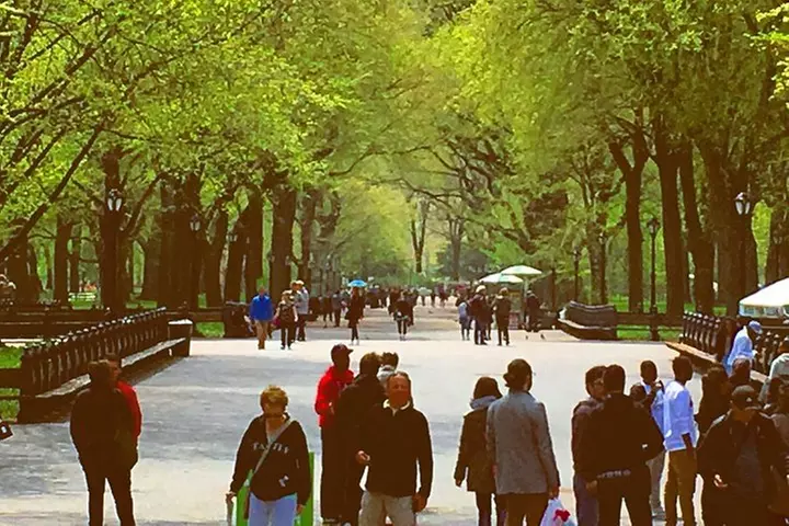 Pedicab Guided Tour of Central Park