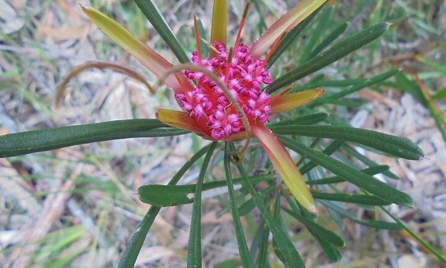 Image 7: Self Guided Electric Bicycle Tour of Bundanoon