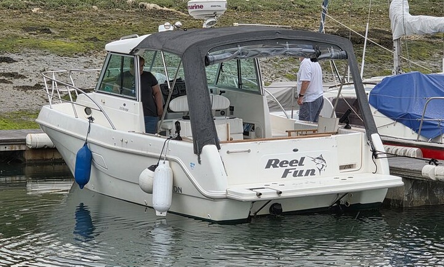 Image 6: Hayling Island Scenic Boat Tours Wildlife and Coastline Adventure
